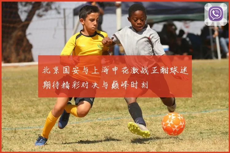 北京国安与上海申花激战正酣球迷期待精彩对决与巅峰时刻
