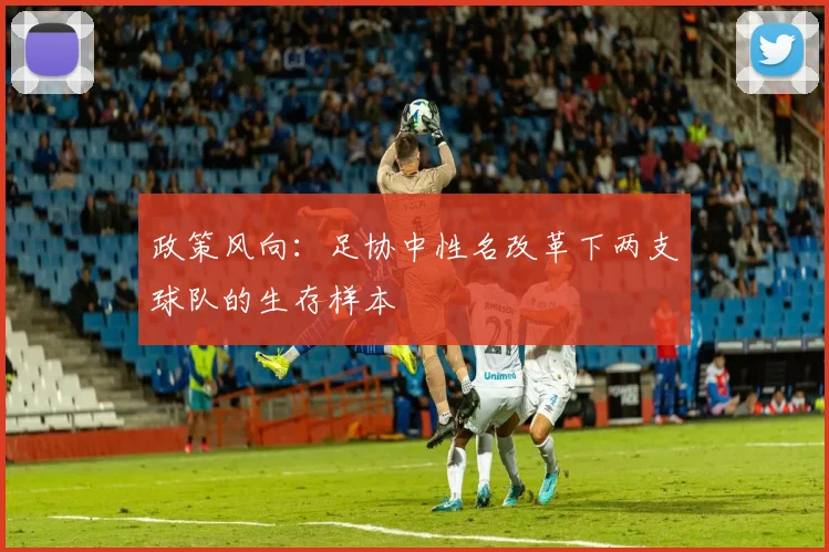 政策风向：足协中性名改革下两支球队的生存样本