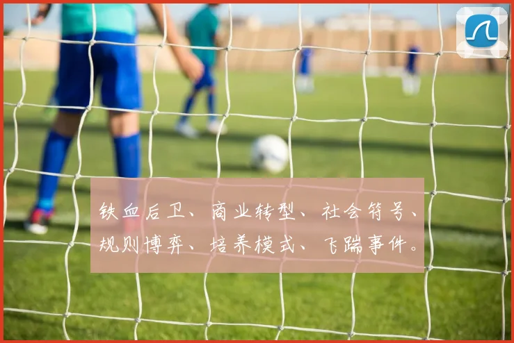 铁血后卫、商业转型、社会符号、规则博弈、培养模式、飞踹事件。每个角度都不同。