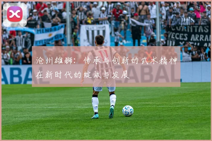 沧州雄狮：传承与创新的武术精神在新时代的绽放与发展