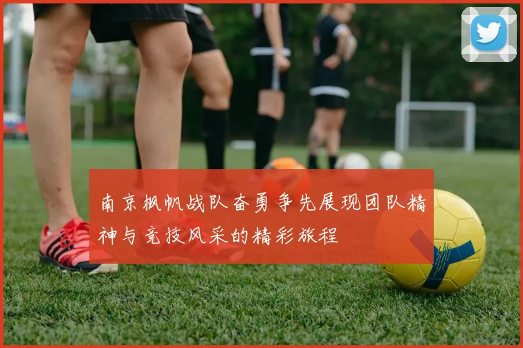 南京枫帆战队奋勇争先展现团队精神与竞技风采的精彩旅程